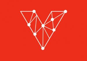 Branding Vanes Palacios Consultora